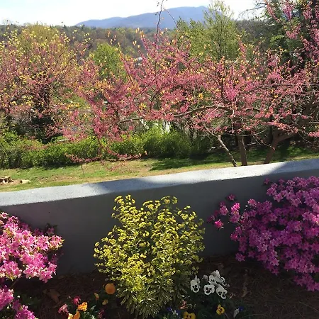 Biltmore Village Inn B&B